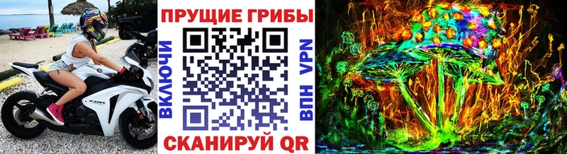 Псилоцибиновые грибы мицелий купить наркотики сайты Ялуторовск