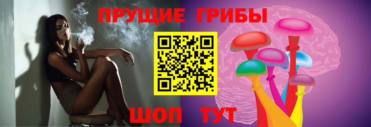 Ялуторовск  Псилоцибиновые грибы ЛСД  Вход с VPN  Псилоцибиновые грибы ЛСД 